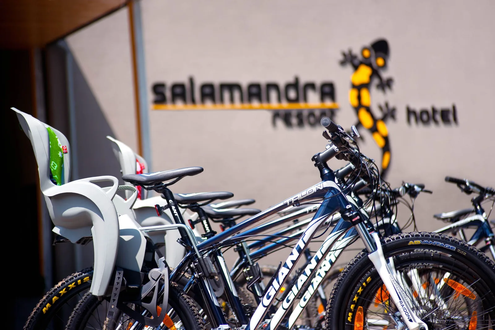 Hotely – Hotel Salamandra (13) | Industry Photo