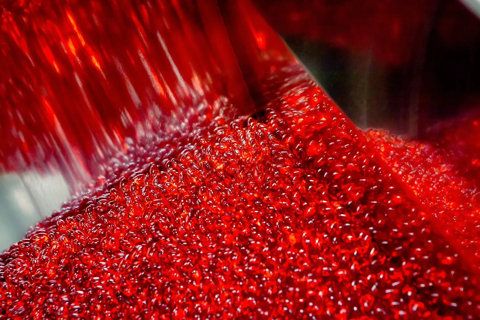 Výroba – Saneca Pharmaceuticals (27) | Industry Photo